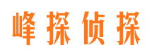 资阳区情人调查